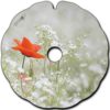 Poppy – Image 2