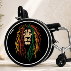 Lion rasta