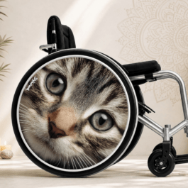 Animaux