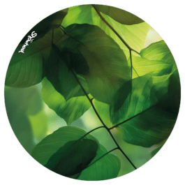 Transparence de vert