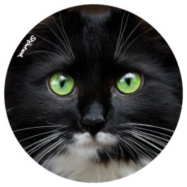 Promos de la semaine